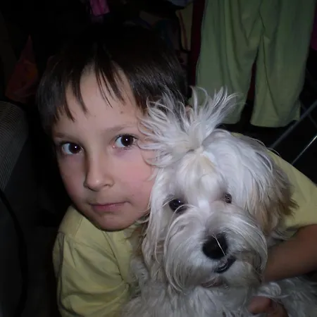 شقة Mistral أوروبيتش