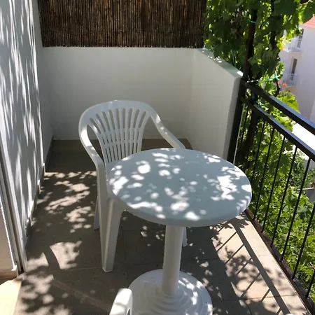 Mistral * أوروبيتش